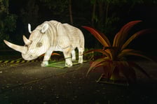 Garden of Lights - Ogród Świateł - wystawa "Dzika Afryka"
