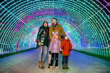 Garden of Lights