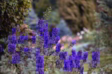 Jesień w Ogrodzie Botanicznym we Wrocławiu