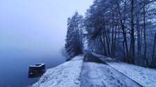 <p>Między stawami. Grobla Stawno-Nowe Grodzisko - Kompleks Stawno</p>