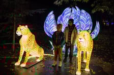 Garden of Lighst - Ogród Świateł - wystawa "Dzika Afryka" w zoo