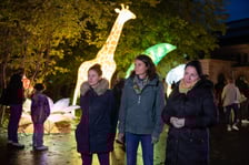 Garden of Lighst - Ogród Świateł - wystawa "Dzika Afryka" w zoo