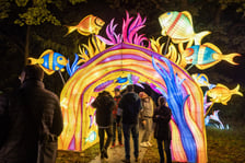 Garden of Lighst - Ogród Świateł - wystawa "Dzika Afryka" w zoo