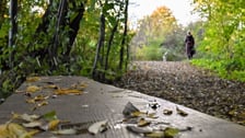 Jesień na Muchoborze Wielkim w nowym parku kieszonkowym przy ul. Kunickiego i w jego okolicach.