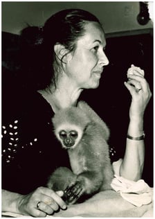 <p>Hanna Gucwińska&nbsp;</p>