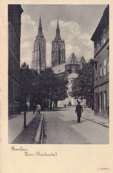 Ostrów Tumski 100 lat temu