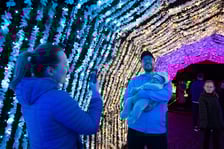 <p>Garden of Lights z zoo Wrocław&nbsp;</p>