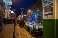 Darmowe choinki trafiły dziś do wrocławian