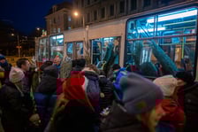 Darmowe choinki trafiły dziś do wrocławian