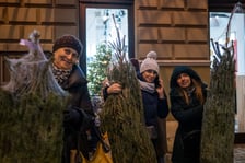 Darmowe choinki trafiły dziś do wrocławian