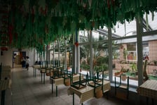 <p>Mini ogr&oacute;d botaniczny w szkole podstawowej przy ul. Prostej</p>