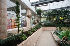 <p>Mini ogr&oacute;d botaniczny w szkole podstawowej przy ul. Prostej</p>