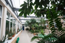 <p>Mini ogr&oacute;d botaniczny w szkole podstawowej przy ul. Prostej</p>