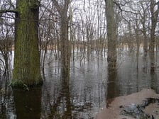<p>Widawa wylewa (26 grudnia 2023)&nbsp;</p>