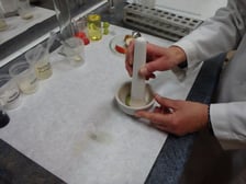 <p>Zajęcia w laboratoriach podczas Nocy Biolog&oacute;w</p>