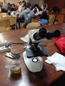 <p>Zajęcia w laboratoriach podczas Nocy Biolog&oacute;w</p>