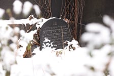 <p>Stary Cmentarz Żydowski to jedyna nekropolia z XIX i XX w. na terenie Wrocławia.</p>