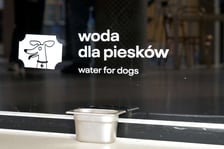 Barbara przy ul. Świdnickiej we Wrocławiu