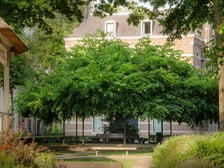<p>Holandia</p>