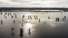 Woda z Widawy stojąca na niezabudowanych terenach we Wrocławiu (18 lutego 2024)