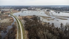 Woda z Widawy stojąca na niezabudowanych terenach we Wrocławiu (18 lutego 2024)