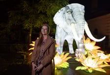 Wystawa Garden of Lights "Dzika Afryka" w zoo Wrocław