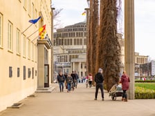 Pierwsze oznaki wiosny we Wrocławiu