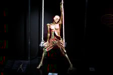 Model ludzkiego ciała z Plastinarium