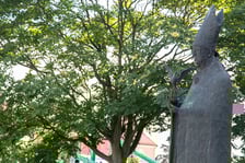 pomnik kardynała Kominka na Ostrowie Tumskim