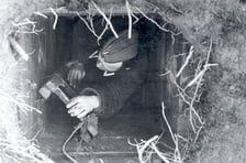 <p>Niemcy odkrywają wyjście z tunelu "Harry"</p>
