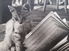zdjęcie z kolekcji Pawła Dumy