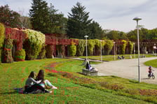 <p><strong> Wrocławska Pergola jest częścią kompleksu Hali Stulecia.</strong><span>&nbsp;</span><span>Tuż obok niej znajduje się Fontanna Multimedialna.</span></p> <p><a href="htps://www.wroclaw.pl/dla-mieszkanca/co-na-wiosne-we-wroclawiu"> Sprawdź, co jeszcze warto zobaczyć wiosną we Wrocławiu.</a></p>