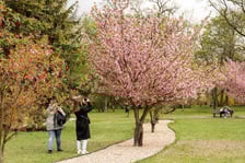 <p>Aleja Sekur, Park Szczytnicki</p>