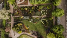 Ogród Botaniczny - widok z drona