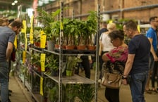 Festiwal Roślin we Wrocławiu