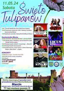 Program festynu
