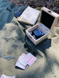 Sokoły wędrowne w Dolinie Baryczy w Nadleśnictwie Żmigród