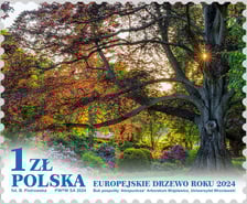 <p>Znaczek z bukiem pospolitym z Wojsławic, kt&oacute;ry jest Europejskim Drzewem Roku 2024</p>