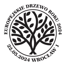<p>Datownik ze wzorem buka pospolitego z Wojsławic, kt&oacute;ry jest Europejskim Drzewem Roku 2024</p>