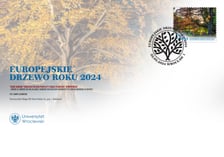 <p>Koperta z bukiem pospolitym z Wojsławic, kt&oacute;ry jest Europejskim Drzewem Roku 2024</p>