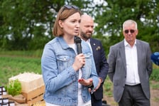 Farma Miejska z eko warzywami dla najmłodszych wrocławian