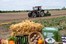 Farma Miejska z eko warzywami dla najmłodszych wrocławian