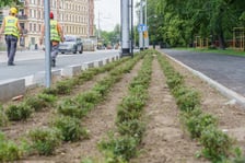 przebudowa Pomorskiej i Staszica / 28 maja 2024