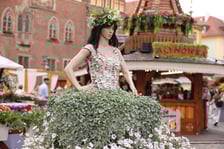 <p>Jarmark Świętojański w Rynku (30.05.2024)</p>