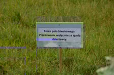 Teren wydzierżawiony przez Wody Polskie prywatnej firmie na pole biwakowe, Bartoszowice