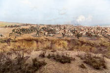 Panorama Racławicka
