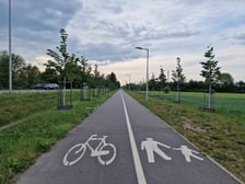 <p>Droga rowerowa i chodnik wzdłuż przebudowanej drogi wojew&oacute;dzkiej na Świniarach</p>