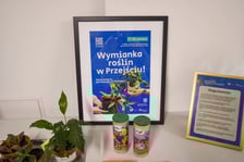 Wymiana roślin w Przejściu Dialogu