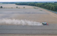 Żniwa na polu pod Wrocławiem