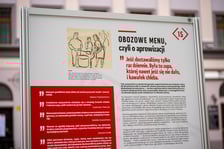 Fragment wystawy Burgweide. Niemiecki obóz przejściowy i obóz pracy. Miejsce – ludzie – pamięć. Rynek we Wrocławiu, styczeń 2024